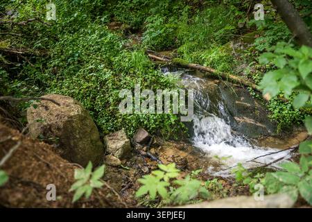 Paesaggio di montagna panoramico dal picco Midzor sulla Stara Planina (montagna Vecchia), con verdi pendii escursionistici, creste rocciose, valli boscose, cielo blu, e. Foto Stock