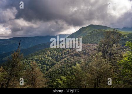 Paesaggio di montagna panoramico dal picco Midzor sulla Stara Planina (montagna Vecchia), con verdi pendii escursionistici, creste rocciose, valli boscose, cielo blu, e. Foto Stock