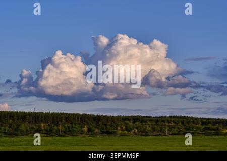 Le splendide nuvole di cumulus si affacciano su un paesaggio panoramico con prato verde e pineta sotto il cielo blu Foto Stock
