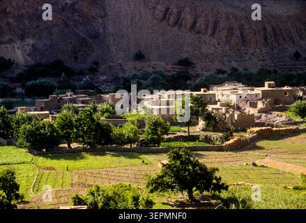 Raccolta nella fertile valle del fiume Kabul, vicino alla capitale, Afghanistan agosto 1992 Foto Stock