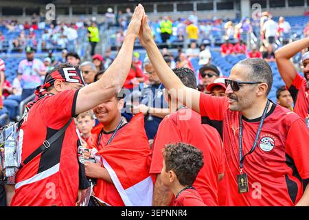 Seattle, Stati Uniti. Seattle, Washington, Stati Uniti. 15 giugno 2026. I tifosi egiziani festeggiano prima della partita di calcio della Coppa del mondo FIFA tra il Belgio e l'Egitto a Seattle, Washington. Steve Faber/CSM/Alamy Live News Credit: Cal Sport Media/Alamy Live News Foto Stock
