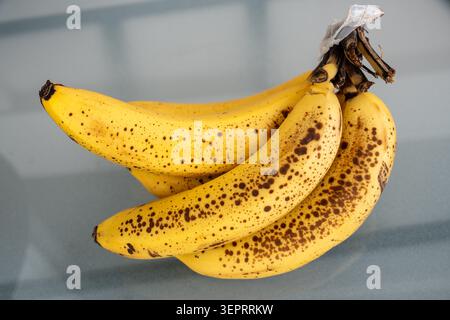 Banane troppo mature con macchie marroni, punte scure e pelli invecchiate appoggiate su una superficie leggera, che illustrano il decadimento naturale della frutta su sfondo bianco Foto Stock