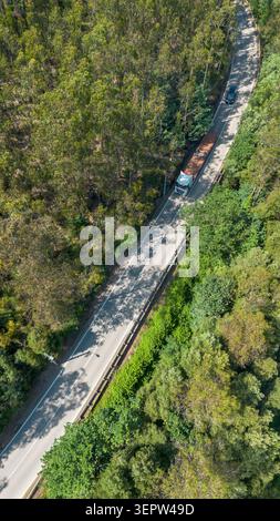 Camion che attraversa una foresta verde su una strada tortuosa, vista dall'alto Foto Stock
