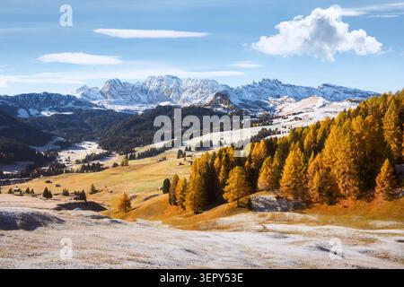 Foreste di larici dorati e prati innevati sull'Alpe di Siusi sotto aspre cime dolomitiche. Paesaggio panoramico autunnale nelle Alpi italiane Foto Stock