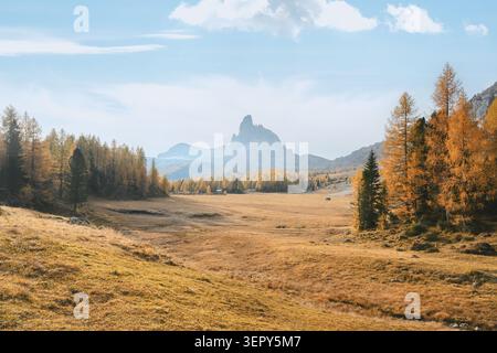 Il Becco di Mezzodi sorge sopra prati alpini e boschi di larici dorati nelle Dolomiti. Paesaggio autunnale panoramico con luce soffusa del mattino e neve fresca Foto Stock