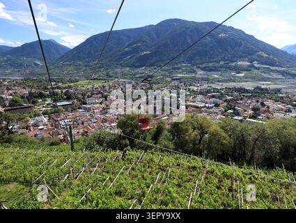 Ein Sommertag a Merano, Merano. Hier der Blick vom Sessellift Meran-Dorf Tirol auf die Stadt, Weinberge, Einsersessellift, Aufstiegsanlage, Meraner Land, Burggrafenamt, alto Adige, Südtirol *** Una giornata estiva a Merano, Merano Foto Stock
