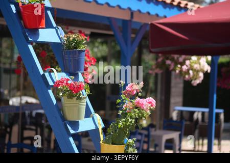Colori luminosi su una scala al caffè all'aperto con il sole Foto Stock