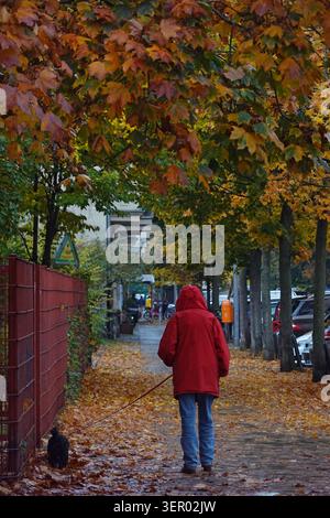 18.10.2022, Germania, Berlino - Un uomo cammina il suo cane sotto la pioggia in autunno. 00S221018D070CAROEX.JPG [VERSIONE MODELLO: NO, RILASCIO PROPRIETÀ: NO (C) CARO Foto Stock