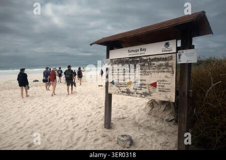 16.12.2024, Ecuador, Isole Galapagos, Puerto Ayora - Ecuador, gente sulla spiaggia di Tortuga Bay. 00S241216D341CAROEX.JPG [VERSIONE DEL MODELLO: NO, CORRETTO Foto Stock
