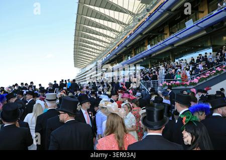 18.06.2025, Regno Unito, Windsor, Ascot - persone elegantemente vestite alle corse di cavalli Royal Ascot di fronte alla tribuna. 00S250618D770CAROEX.J Foto Stock