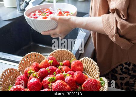 Donna che lava fragole fresche sotto l'acqua corrente nel lavandino della cucina. Igiene alimentare, preparazione degli ingredienti, sana routine di alimentazione e frutta sicura clea Foto Stock