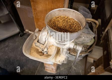 Primo piano del grano che riposa nella tramoggia di uno storico mulino per grigliate. L'attrezzatura di fresatura vintage illustra la lavorazione tradizionale dei cereali. Foto Stock
