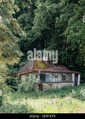 Una casa abbandonata e rovinata ai margini della foresta Foto Stock