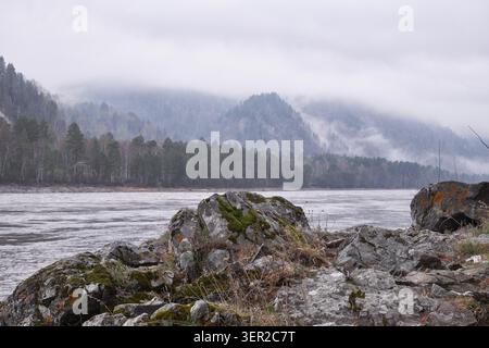 Paesaggio di Altai con nebbia mattutina sopra la foresta di montagna e il fiume Katun. Massi ricoperti da muschi e licheni sono in primo piano Foto Stock
