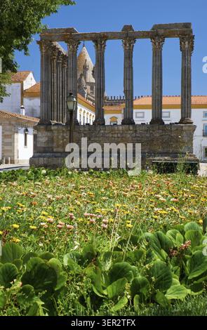 Il Tempio di Diana, il tempio romano di Evora dedicata al culto dell'Imperatore Augusto - il simbolo più famoso di Evora. Portogallo Foto Stock