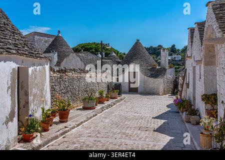 Uno scorcio dei tradizionali trulli nel quartiere di Aia piccola, con i loro caratteristici tetti conici in pietra e le pareti dipinte di bianco. Alberobello Foto Stock