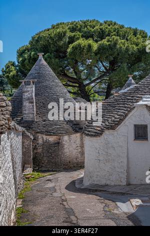 Uno scorcio dei tradizionali trulli nel quartiere di Aia piccola, con i loro caratteristici tetti conici in pietra e le pareti dipinte di bianco. Alberobello Foto Stock