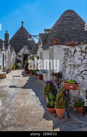 Uno scorcio dei tradizionali trulli nel quartiere di Aia piccola, con i loro caratteristici tetti conici in pietra e le pareti dipinte di bianco. Alberobello Foto Stock