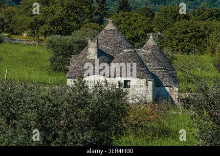 Un trullo caratterizzato da pareti in pietra imbiancata e da un tetto conico, circondato dai verdi campi e alberi della campagna pugliese. Alberobello Foto Stock