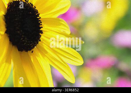 Stile astratto di pittura ad olio di un girasole giallo brillante in piena fioritura con centro scuro, arte botanica impressionistica con vibrante rosa e verde bac Foto Stock