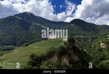 Ein Sommertag in Tirolo, Tirolo, oberhalb der Kurstadt Merano, Meraner Land, Burggrafenamt, Südtirol, alto Adige, Tourismus, hier der Blick auf das Schloss Tirol, oberhalb eines Weinberges im Hintergrund thront die Mutspitze *** Una giornata estiva nel Tirolo Tirolo, sopra la città termale di Merano, Terra di Meraner, Burggrafenamt, alto Adige, tourismhere è una vista sul castello del Tirolo, con il Mutspitze che domina sopra un vigneto Foto Stock