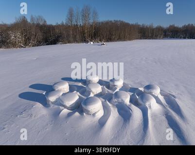 Balle di fieno ricoperte di neve in un campo invernale in Lettonia Foto Stock