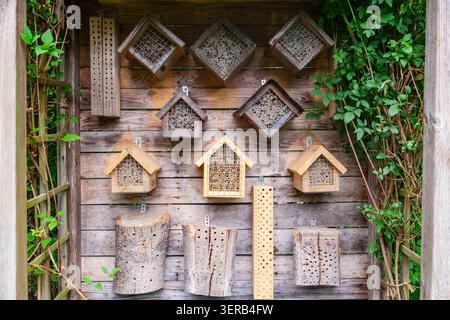 Hotel di insetti e case di api in legno appesi su una decorazione a parete di legno per l'ecologia del giardino Foto Stock