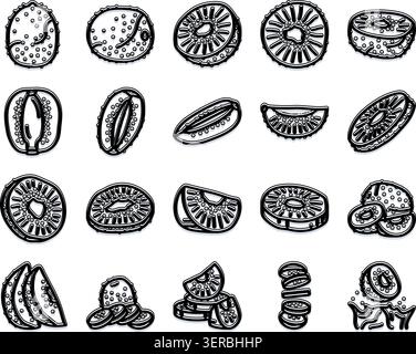 Icone di frutta Kiwi che illustrano varie fette e frutti interi, presentando una collezione di illustrazioni di snack salutari, perfette per i design legati al cibo Illustrazione Vettoriale