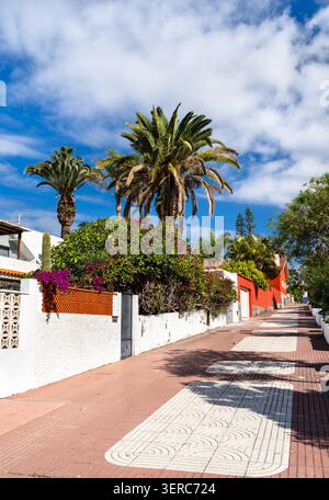 Pittoresca strada pedonale Calle San Amaro fiancheggiata da vivaci bouganville e palme sotto un cielo azzurro cristallino a Puerto de la Cruz, Tenerife, Isole Canarie Foto Stock