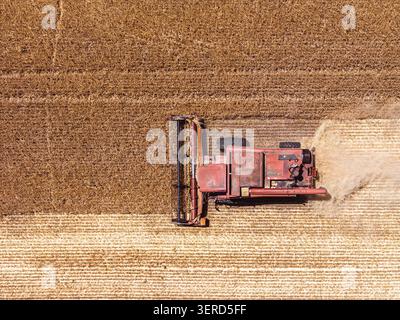 Macchine per la raccolta della granella in funzione sul campo, vista droni dall'alto verso il basso Foto Stock