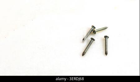 Un'immagine top-down e ravvicinata di diverse piccole viti metalliche disposte su una superficie bianca pulita e brillante, che rappresenta la costruzione, la riparazione e la riparazione dell'hardware Foto Stock