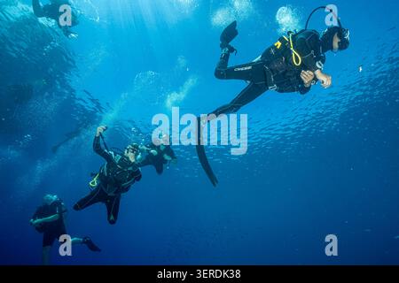 Egitto, Sharm El Sheikh, subacquei Foto Stock