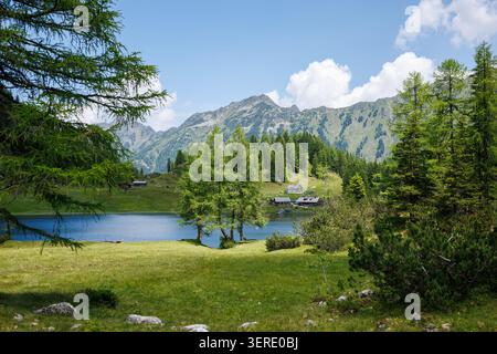 Lago Duisitzkarsee nelle Alpi europee, Stiria, Austria. Paesaggio naturale con tradizionali capanne alpine e foresta Foto Stock