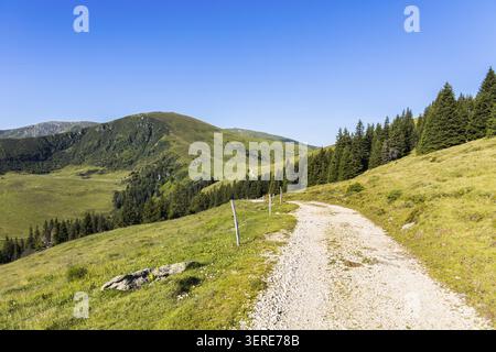 Vista di un sentiero di ghiaia tortuoso attraverso lussureggianti prati alpini e foreste di pini sulla catena montuosa di Koralpe sotto un cielo azzurro e limpido a Wolfsberg, California Foto Stock