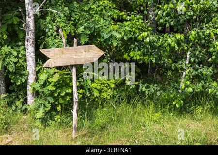 Una freccia rustica in legno su un semplice palo punta verso un fitto bordo verde della foresta, circondato da erba alta e fogliame selvatico, che evoca la direzione, adv Foto Stock
