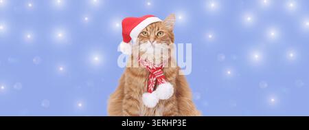 Simpatico gatto che indossa il cappello e la sciarpa di babbo natale. Banner creativo per le vacanze invernali con spazio per copie bokeh. Foto Stock