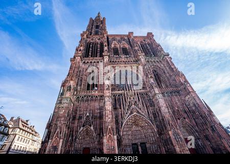 L'inquadratura dall'angolo basso mette in evidenza l'imponente facciata gotica della cattedrale in arenaria rosa, ricca di guglie, statue e un grande rosone centrale. Foto Stock