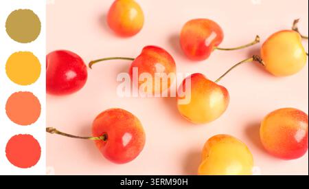 Ciliegie rainier fresche sparse su sfondo rosa chiaro, mangiare sano e frutta estiva, le bacche dolci e mature mostrano il loro carattere Foto Stock