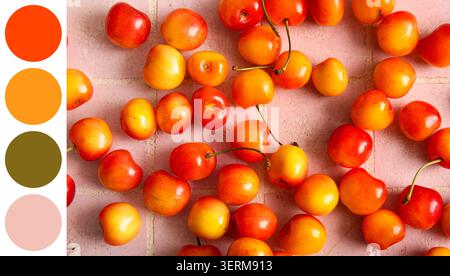 Ciliegie rainier fresche sparsi su una superficie ruvida rosa, alimentazione sana e raccolta della frutta estiva Foto Stock