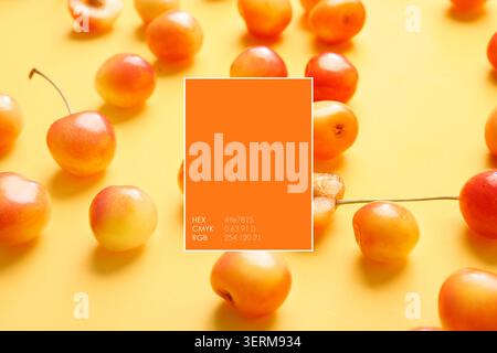 Ciliegie rainier fresche con informazioni sulla tavolozza dei colori su sfondo giallo brillante, frutta sana e nutrizione Foto Stock