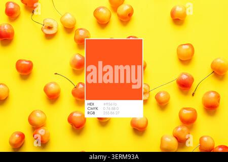 Ciliegie rainier dolci con tavolozza di colori informazioni su sfondo giallo brillante frutta fresca e mangiare sano, i colori e la presentazione chiara ma Foto Stock