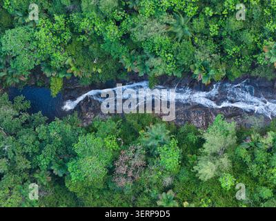 Veduta aerea dall'alto della cascata di Sauzier che si riversa attraverso una fitta e lussureggiante chioma di giungla tropicale, Mahé, Seychelles Foto Stock