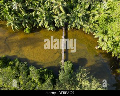 Vista aerea dall'alto di un ponte di legno rustico che attraversa un fiume calmo circondato da dense palme, Anse solei, Mahe, Seychelles Foto Stock