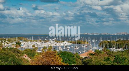 Vista dall'alto del porticciolo di Coconut Grove pieno di barche a vela Foto Stock