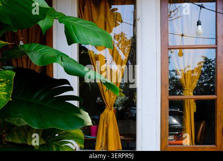 Lussureggianti foglie verdi di Monstera e vivaci tende arancioni calde incorniciate in un pannello finestra Foto Stock