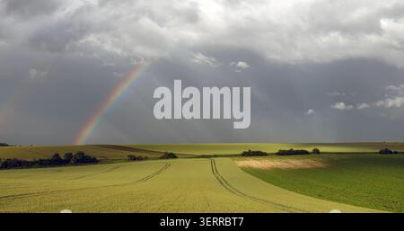campi e prati in colline ondulate di campagna di thierache nel nord della francia Foto Stock