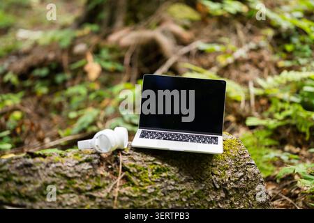 Laptop e cuffie wireless posizionati su un ceppo d'albero nella foresta Foto Stock