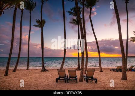 Lettini da spiaggia sotto le palme all'alba nel resort Punta Cana Foto Stock