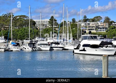 Un trafficato porticciolo pieno di barche a vela e yacht a motore poggia su acque blu calme, sostenute da moderni appartamenti fronte mare e lussureggianti alberi verdi. Foto Stock