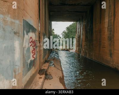 Vista attraverso un tunnel di cemento intempestivo che attraversa l'acqua fluente del fiume con graffiti sulle pareti che conducono a alberi verdi Foto Stock